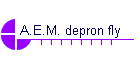A.E.M. depron fly