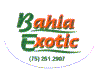 B507-01 - Bahia Exotic - A.gif (5540 byte)