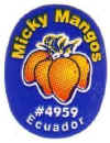 M509-02 - Micky Mangos - A.JPG (15853 bytes)