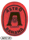 A012-01 - Astro - A.gif (8363 byte)