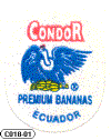 C018-01 - Condor - A.gif (12564 byte)