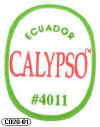 C020-01 - Calypso - A.jpg (9181 byte)