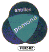 P002-02 - Pomona - A.gif (7420 byte)