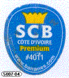 S007-04 - SCB - A.gif (19379 byte)