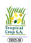 T019-01 - Tropical Crop - A.gif (4786 byte)