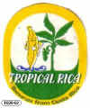T020-02 - Tropical Rica - A.JPG (20299 bytes)