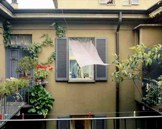 Window in Milan