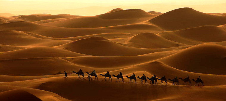 Marrakech-camels-desert