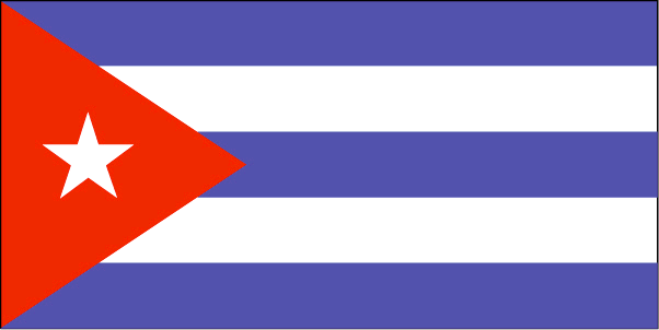  Flag 