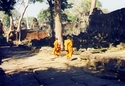  Angor Wat - Ta Phrom 
