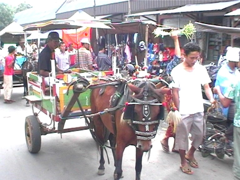  Lombok 