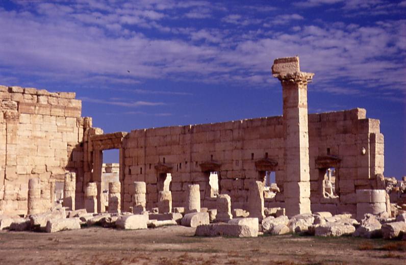  Palmyra 