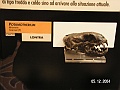 Museo storia naturale Genova 011