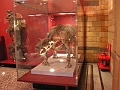 Natural History Museum (103)