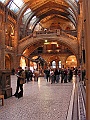 Natural History Museum (33)
