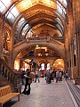 Natural History Museum (34)