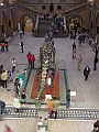 Natural History Museum (7)