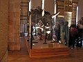 Natural History Museum (92)