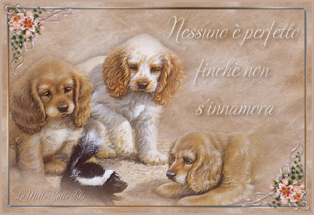 Cartolina auguri con animali