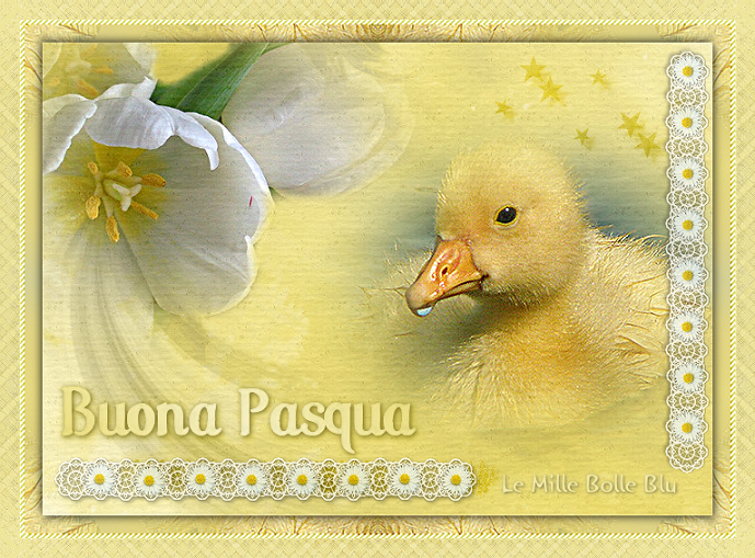 Cartolina auguri Buona Pasqua