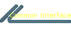 Common Interface