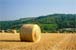   Campo di grano dopo la mietitura - Cividale del Friuli (UD) 