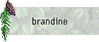 brandine