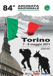 poster adunata di Torino
