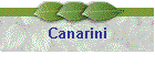 Canarini
