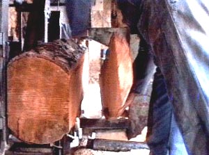 squadratura del tronco