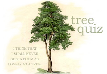 ...I shall never see a poem as lovely as a tree...