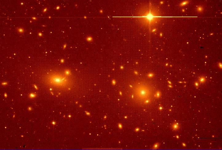 L'ammasso di galassie nella Chioma di Berenice, contenente un gran numero di galassie ellittiche.
