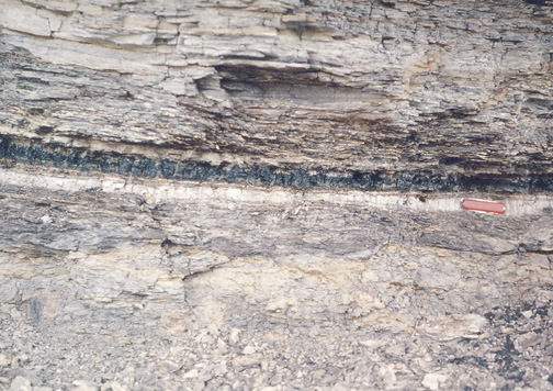 Photograph of the K/T boundary sequence at Raton Basin in Colorado.