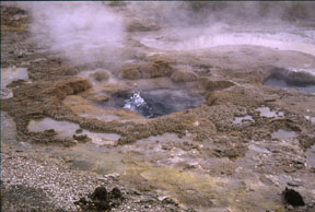 Yellowstone hot springs.