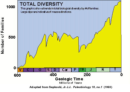This graphic shows biological diversity throughout geologic time. The dips indicate mass extinction events.