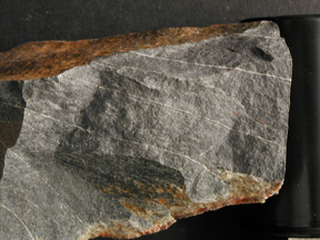 3.5 billion year old sedimentary chert.