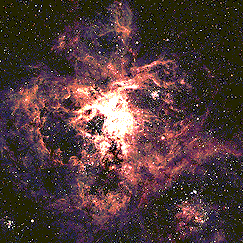 Nebulosa della Tarantola.