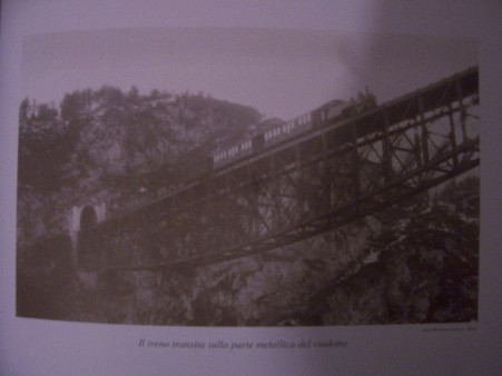 il treno corre sul ponte