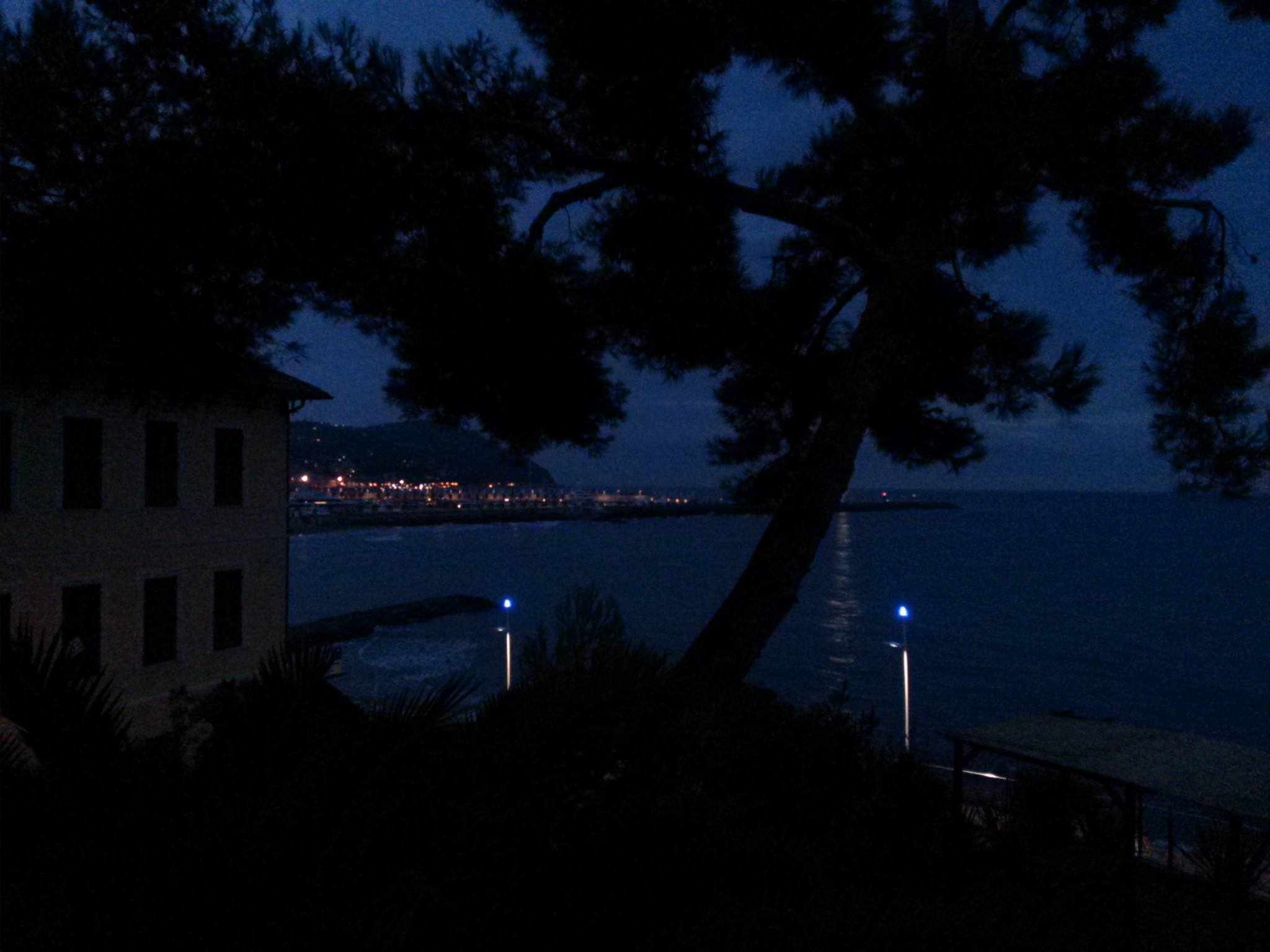 Imperia by night (augustus 2014)