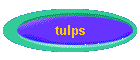 tulps