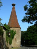 Ribeauvill: le cicogne sono il simbolo dell'Alsazia, ma qui sono uno spettacolo