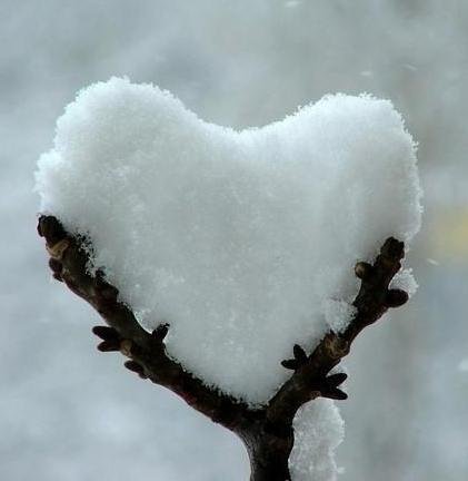 cuore neve