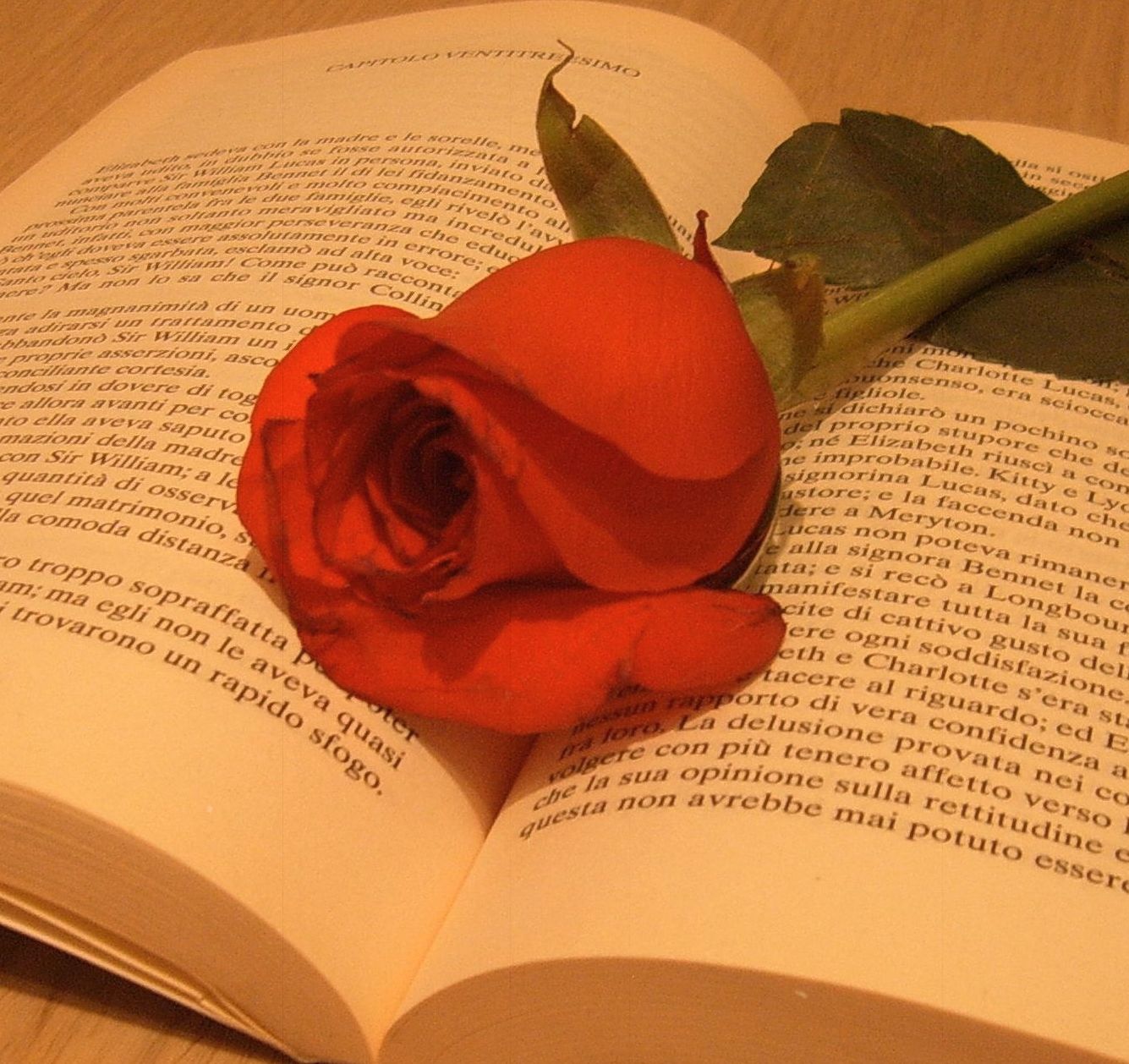 Un libro per una rosa