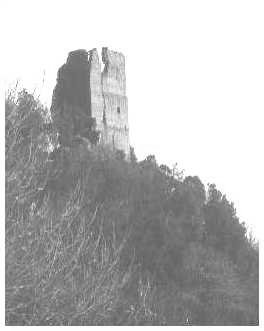 Nepi - Localit Torre dell'Isola