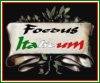 Foedus Italicum - I Siti Italiani sulla Seconda Guerra Mondiale