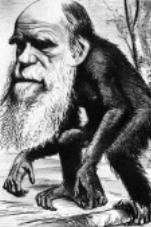 Cos venne trattato Darwin dalla critica scientifica 