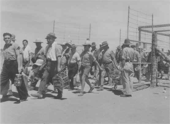 Rilascio dei detenuti nel 1946 da Loveday