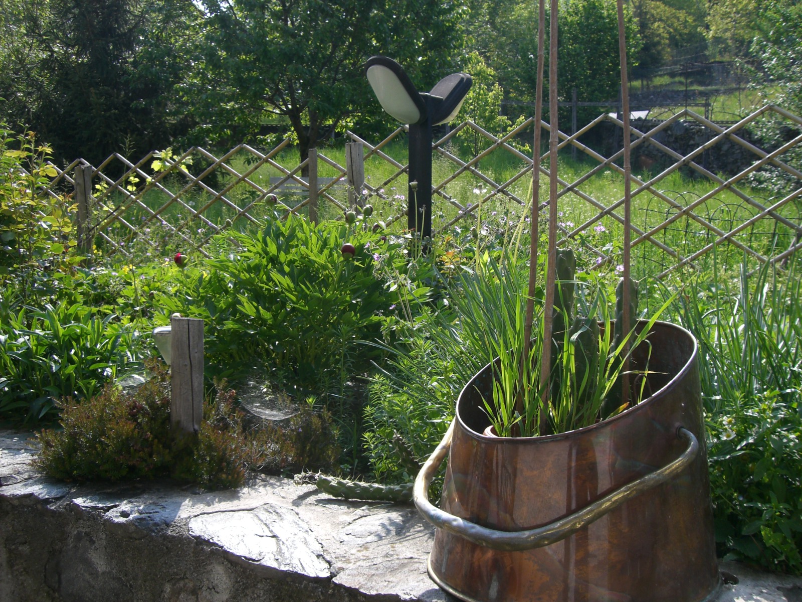 PARTICOLARE GIARDINO