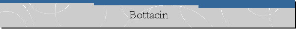 Bottacin