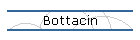Bottacin